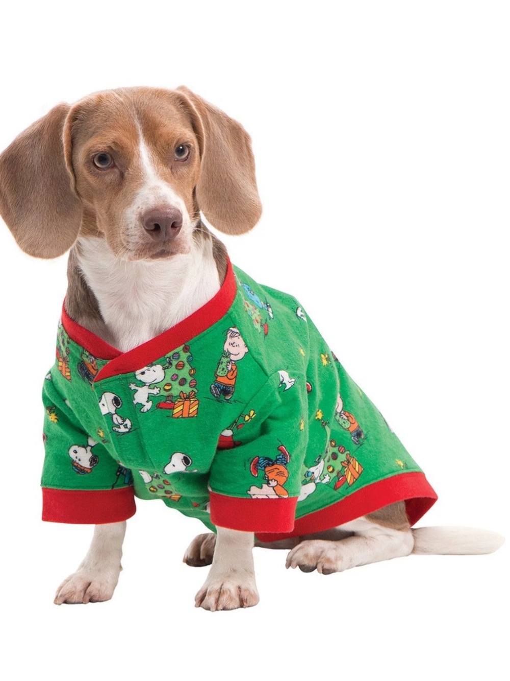XL Dogs Green Holiday Peanuts Print pijama